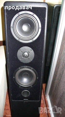 Тонколони   КАНТОН