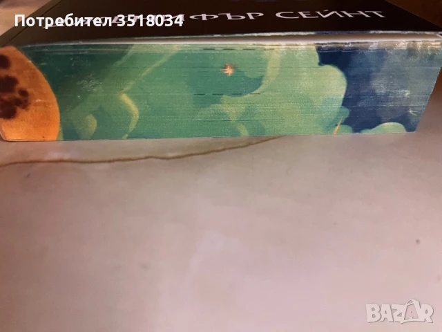 Аталанта - Дженифър Сейнт, снимка 3 - Художествена литература - 50555100