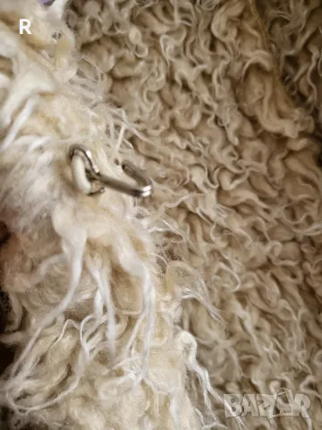 Джинсово дамско палто , снимка 4 - Палта, манта - 47553492