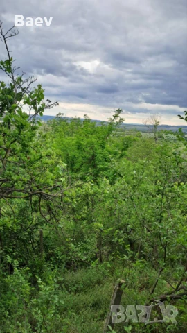 Продавам Парцел в Ментишето Аксаково Собственик, снимка 6 - Парцели - 50480011