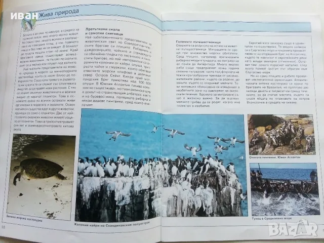 Земното кълбо / Океани част 1 - Мартин Брамуел - 1992г., снимка 4 - Енциклопедии, справочници - 49255109