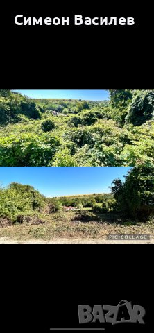 Предлагаме почистване на разумна цена!!, снимка 7 - Почистване на домове - 32628114