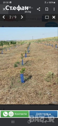 Земеделска земя Бургас Рудник, снимка 9 - Земеделска земя - 54270604