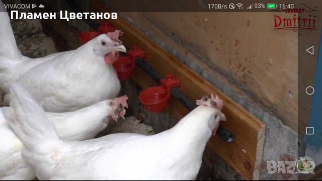  Поилки АВТОМАТИЧНИ, снимка 6 - За птици - 29690179