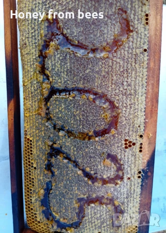 Мед от Пчели