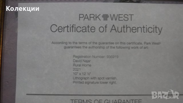 Картина на известен художник Дейвид Наджар, снимка 2 - Картини - 42282978