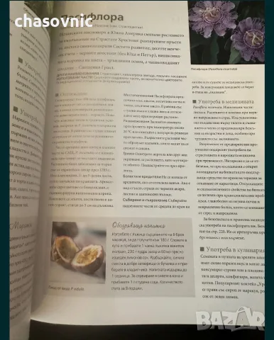книга за света на билките! "НЕОБЯТНИЯТ СВЯТ НА БИЛКИТЕ" - Рийдърс Дайджест /// книги билки рецепти, снимка 3 - Здраве, медицина и спорт - 56241249