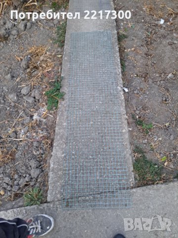 Продавам калифорнийски зайци, снимка 6 - Други животни - 38399540