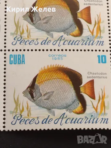 Пощенски марки чисти АКВАРИУМНИ РИБКИ поща КУБА за КОЛЕКЦИЯ ДЕКОРАЦИЯ 46512, снимка 5 - Филателия - 47320846
