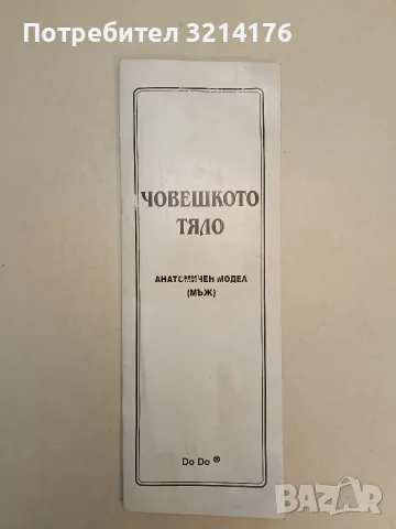 Човешкото тяло. Анатомичен модел номер 1: Мъж
