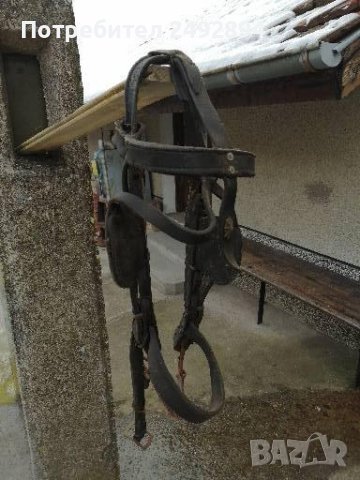 Конски хамут , снимка 4 - Други животни - 37651566