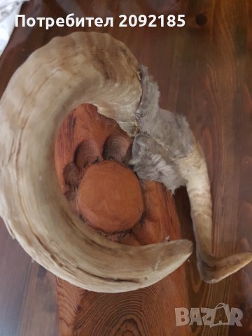 Маска от трофей, снимка 5 - Колекции - 37977790