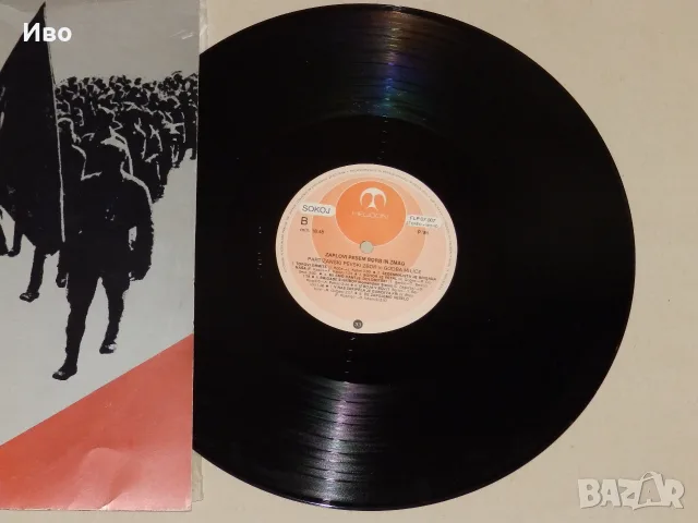 Грамофонни плочи - цветни винили 12", снимка 4 - Грамофонни плочи - 55725901