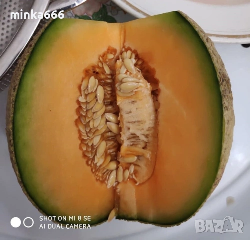 10бр.семена за пъпеш Юбари.