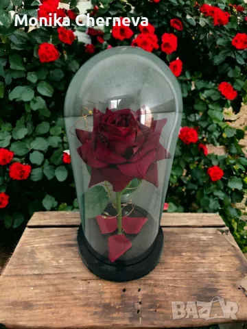 Красива осветена роза в стъкленица с красива подаръчна кутия, снимка 1