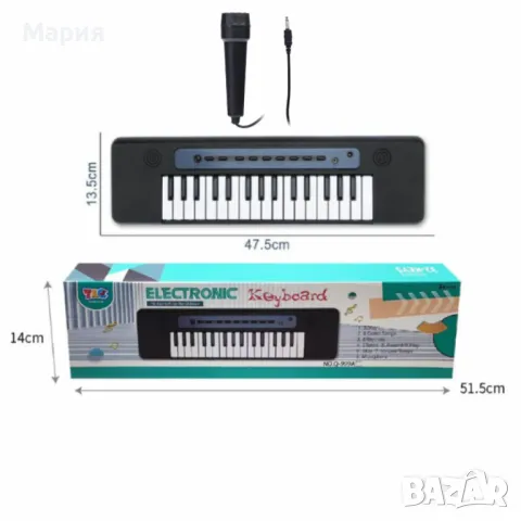 Детска йоника с микрофон, снимка 1