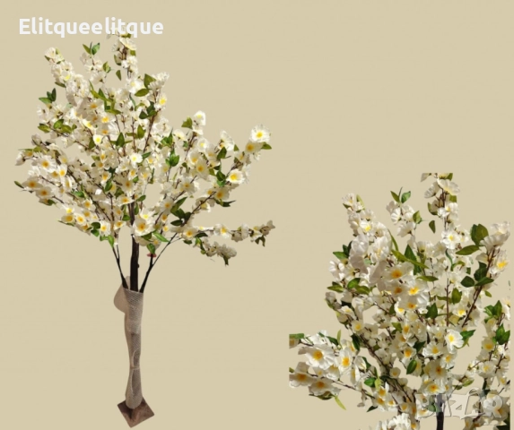 Декоративно дръвче, черешов цвят, 170см