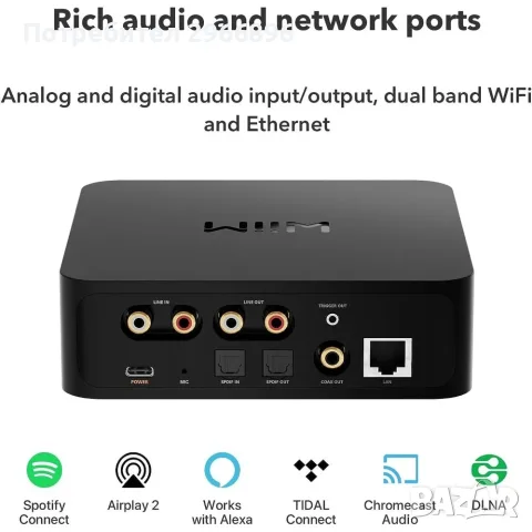 Wiim pro plus dac 