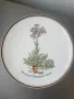 6бр Rosenthal Розентал стара немска колекционерска декоративна порцеланова чиния-картина/цветя, снимка 5