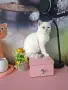 Британски момичета и момчета, снимка 4