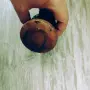 Малко медно менче , снимка 6