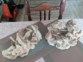 Огромни и прекрасни Пустинни рози-Сахара.Обявената цена е за двете и не подлежи на коментар., снимка 3