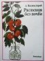 Растения без почва Дмитрий Вахмистров, снимка 1 - Специализирана литература - 29123020