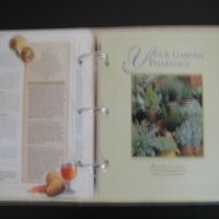 Книга/Класьор - The Complete Guide to Natural Healing, снимка 13 - Енциклопедии, справочници - 37516127