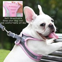 Нов регулируем колан за куче Нагръдник с Каишка Разходка обучение, снимка 4 - За кучета - 40676963