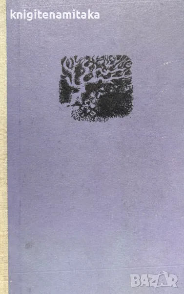 Дупка в морето - Хана Ожоговска, снимка 1