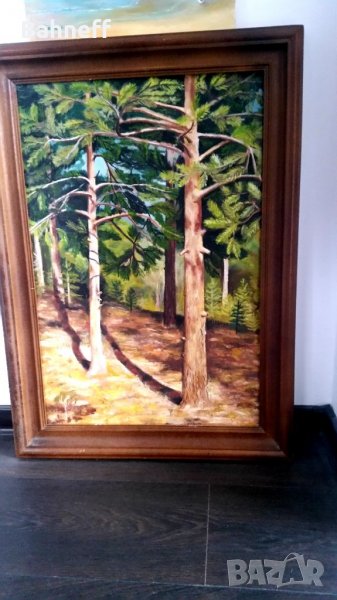 Слънчеви лъчи, снимка 1