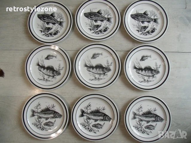 № 8071 комплект 9 броя стари порцеланови чинии - COLDITZ  - илистрюцация - риби - печат / маркировка