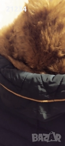 Дамско яке Зара , снимка 3 - Якета - 52682806