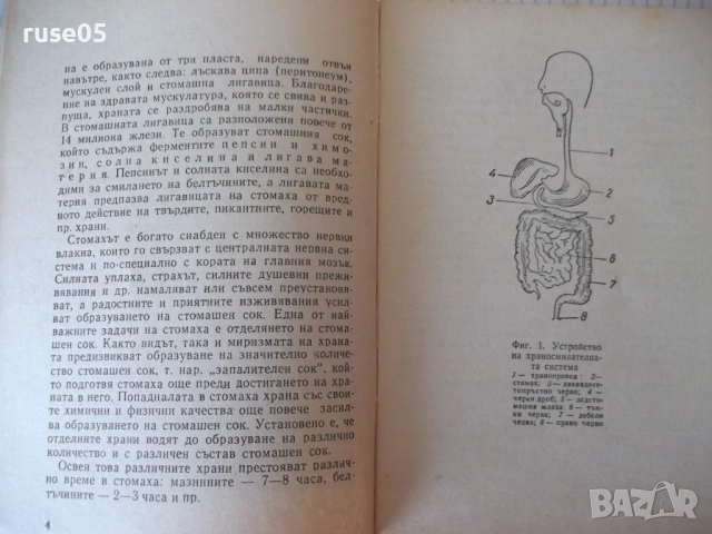 Книга "Режим и хранене при стомашни и ...-Х.Браилски"-48стр., снимка 4 - Специализирана литература - 52792232