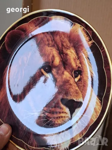 колекционерска порцеланова чиния Лъв Royal Doulton 18/4, снимка 3 - Колекции - 49163049