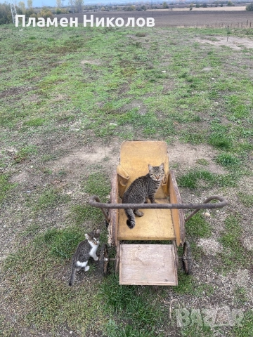Ретро детска количка много стара, снимка 5 - Антикварни и старинни предмети - 52745449