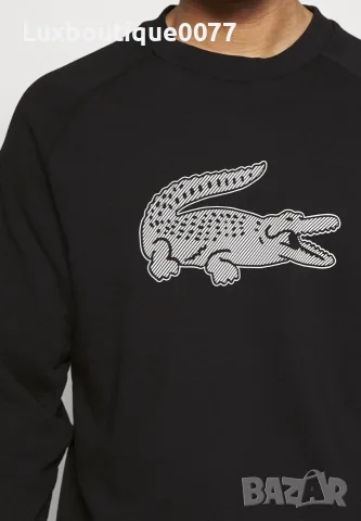 Мъжак блуза Lacoste M