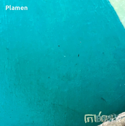 КАРТИНА ПОДПИСАНА И ДАТИРАНА, снимка 3 - Картини - 54069726