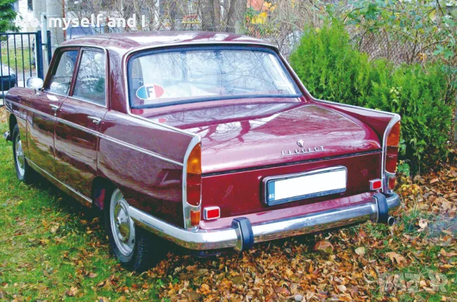 Peugeot 404 под наем за всякакви поводи, снимка 2 - Други услуги - 47685175