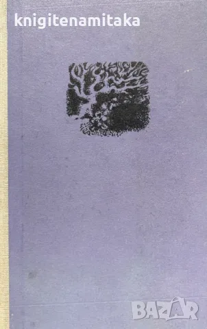 Дупка в морето - Хана Ожоговска, снимка 1