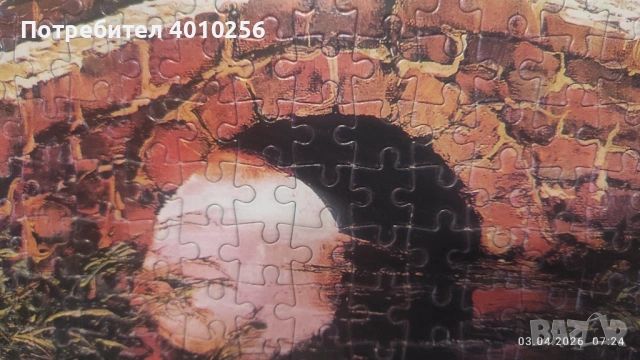 НОВА КАРТИНА-ПЪЗЕЛ 78/54 РАМКИРАНА, супер евтино!, снимка 4 - Картини - 45566315