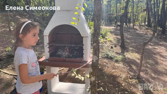 Барбекю в горски парк, снимка 4 - Барбекюта - 47641211