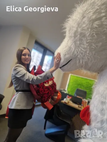 Бяло мече Варна, bialomeche, снимка 4 - Детегледачки, детски центрове - 48374405