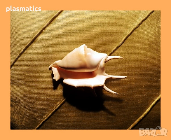 ключодържател кукличка / морска раковина, снимка 8 - Кукли - 46914612