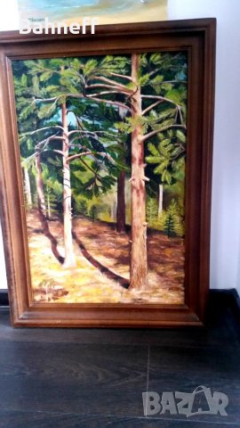 Слънчеви лъчи