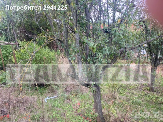 Парцел с къща в с. Телиш, снимка 5 - Парцели - 53108992