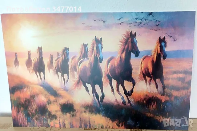 Лот от 6 картини в размер 25х35 см за детска стая, животни, пвц пана със закачалки, снимка 11 - Други - 48902066