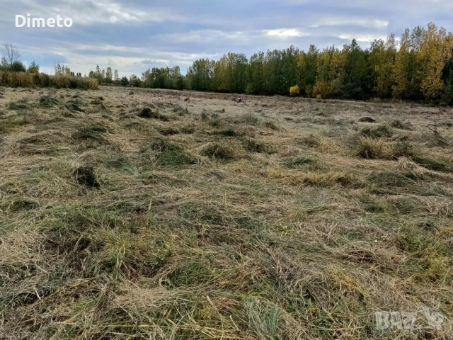 Бали сено, снимка 3 - За селскостопански - 51217940