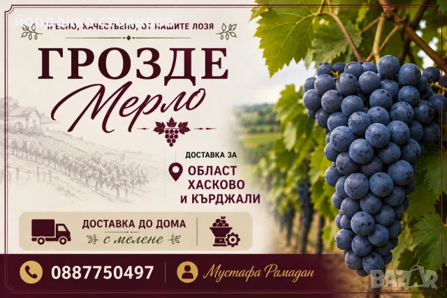 Продавам грозде Мерло 