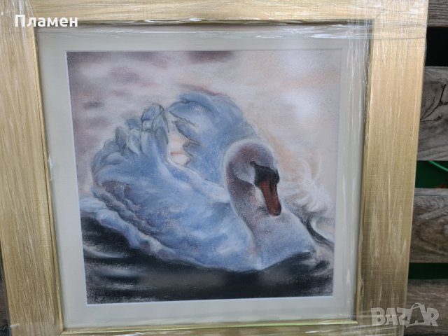картина Лебед 2005 молив картон, снимка 8 - Картини - 34941524